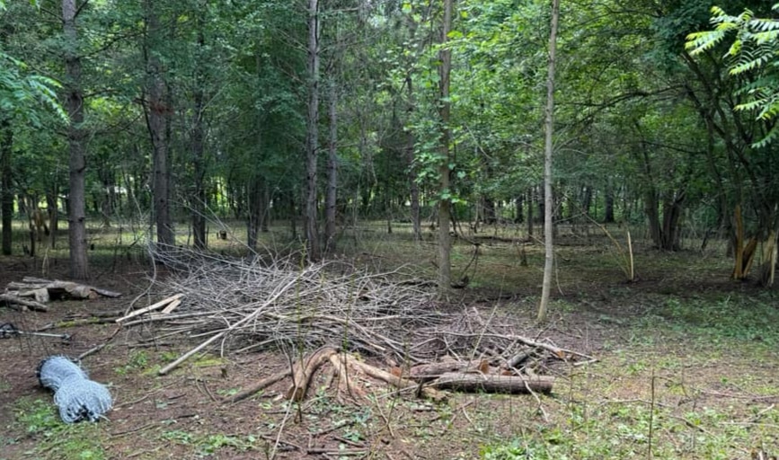Brush Clearing